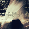 albumhoes van If You Leave (Daughter)