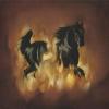 albumhoes van The Besnard Lakes Are The Dark Horse (The Besnard Lakes)